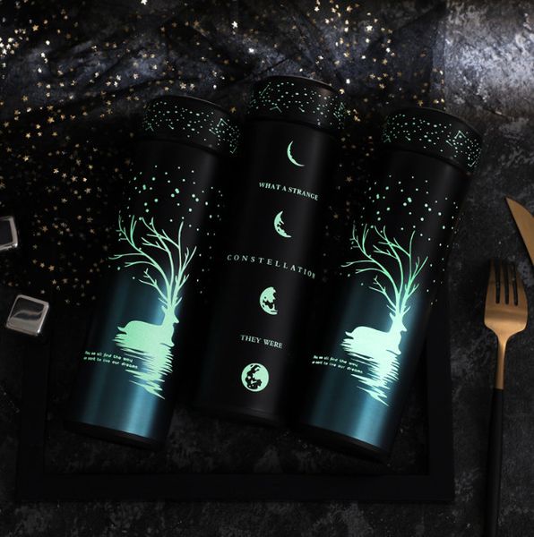 17OZ stainless steel water bottle with starry night glow effect, 10 color gradients, customizable logo