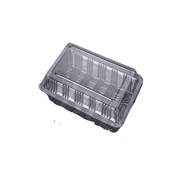 19x12x4.5cm clear disposable plastic containers for sushi, cakes, fruit salads, and takeout food packaging