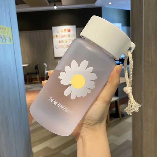 500ml small frosted plastic water bottle with carrying rope, BPA-free for travel and tea