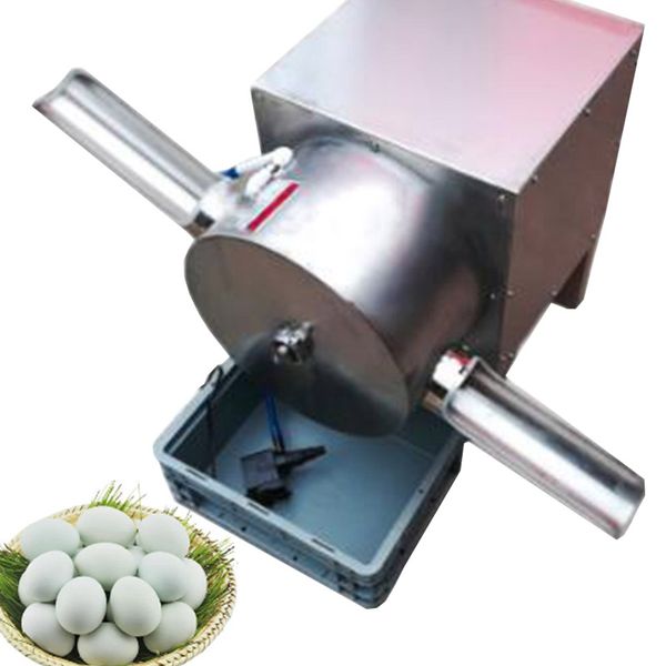 Affordable high-quality brush-type egg washer for poultry eggs with no breakage